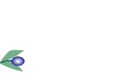 Sager Foods