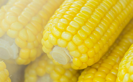 huile de maïs